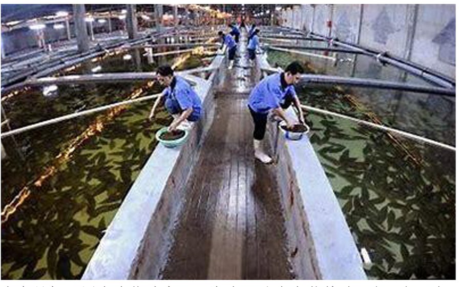 Aquaculture water treatment