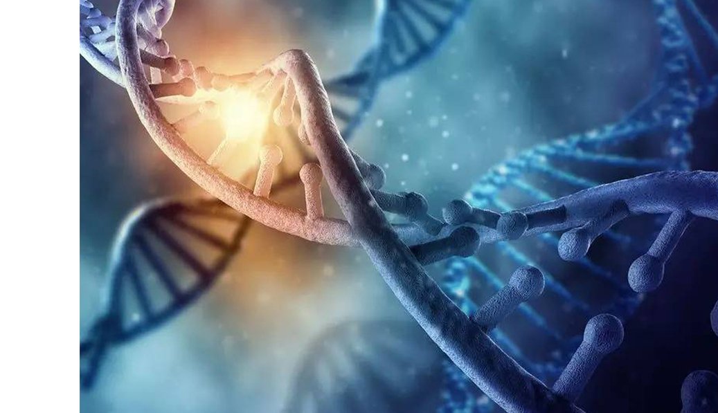UV-C destroys the DNA of micro-organisms